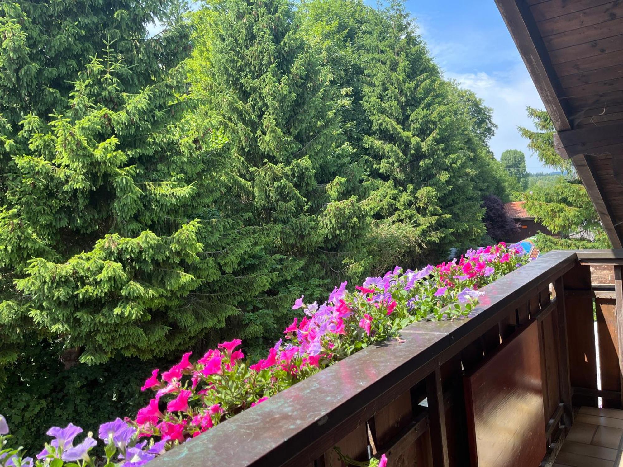 Gaestehaus Forggensee Füssen Dış mekan fotoğraf